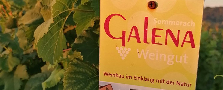 Galena
