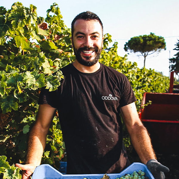 Vito Oddo