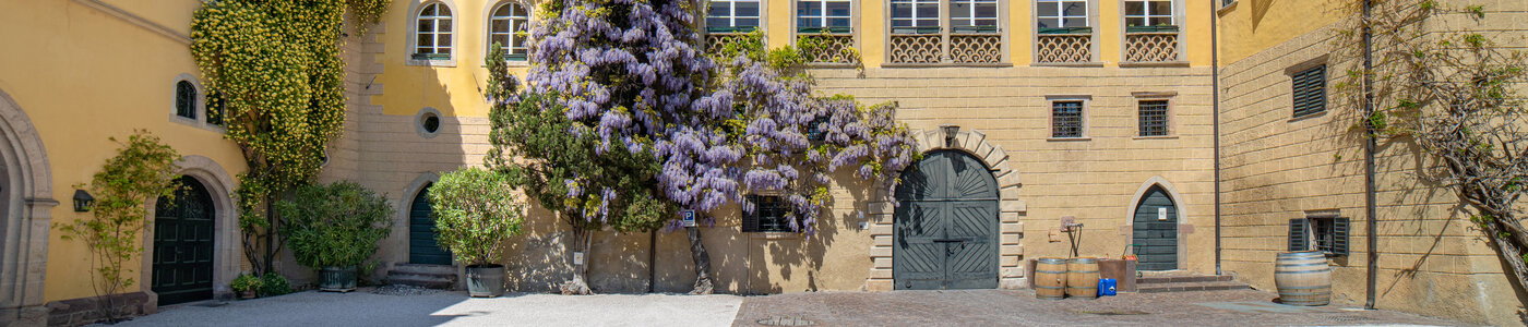 Castel Sallegg