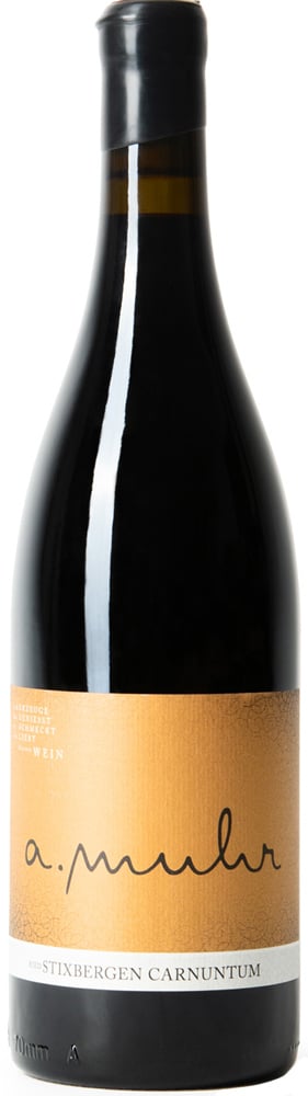 2023 Chardonnay Ried Gaisberg