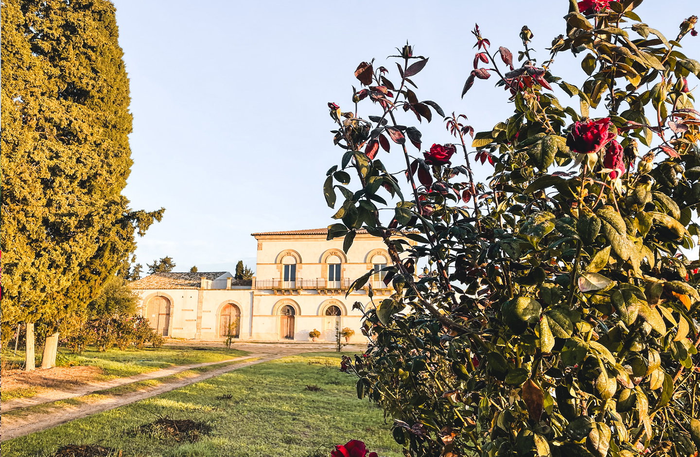 Santo Spirito