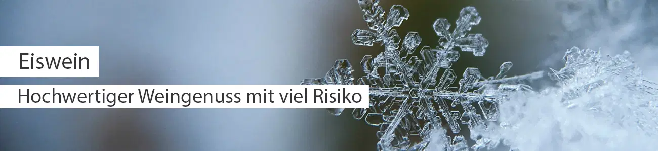 Eiswein header - Hochwertiger Genuss