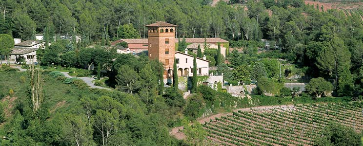 Mas Oliveras