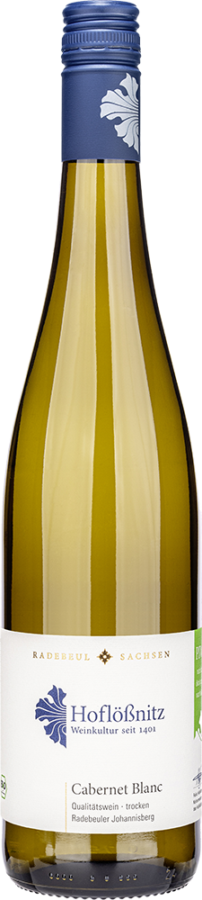 2023 Cabernet Blanc - Radebeuler Johannisberg BIO