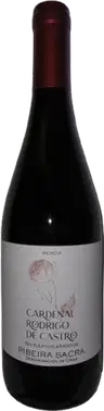 2024 Cardenal Rodrigo de Castro Ribeira Sacra DO