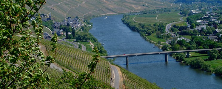 Genetsch