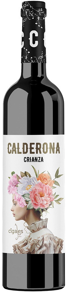 2019 Calderona Crianza Cigales DO