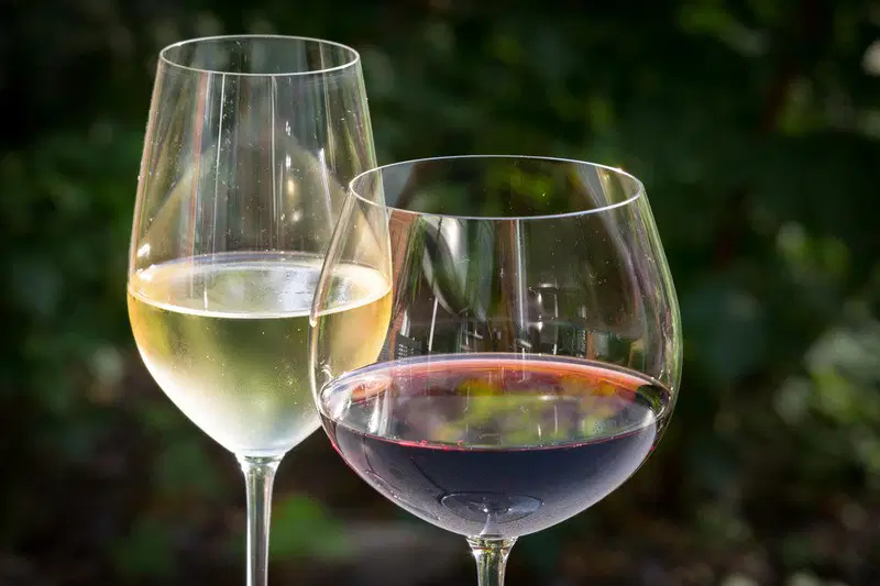 Weingläser mit jeweils Rotwein und Weißwein