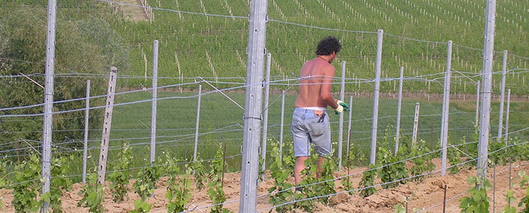 Fabrizio Pinsoglio