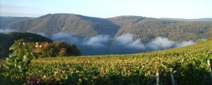 Krone Assmannshausen
