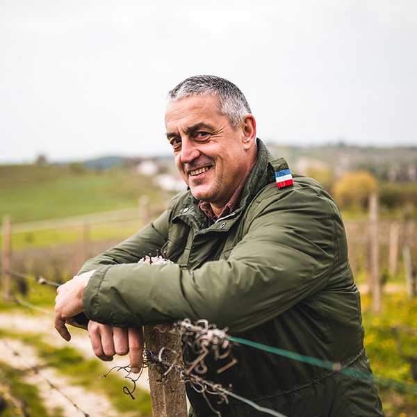 Gianluca Morino