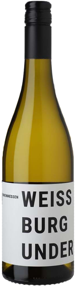 2024 Weißburgunder