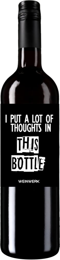 2022 I PUT A LOT OF THOUGHTS IN THIS BOTTLE Pinot noir