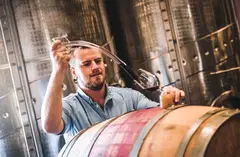 winemaker tasting wine in cellar