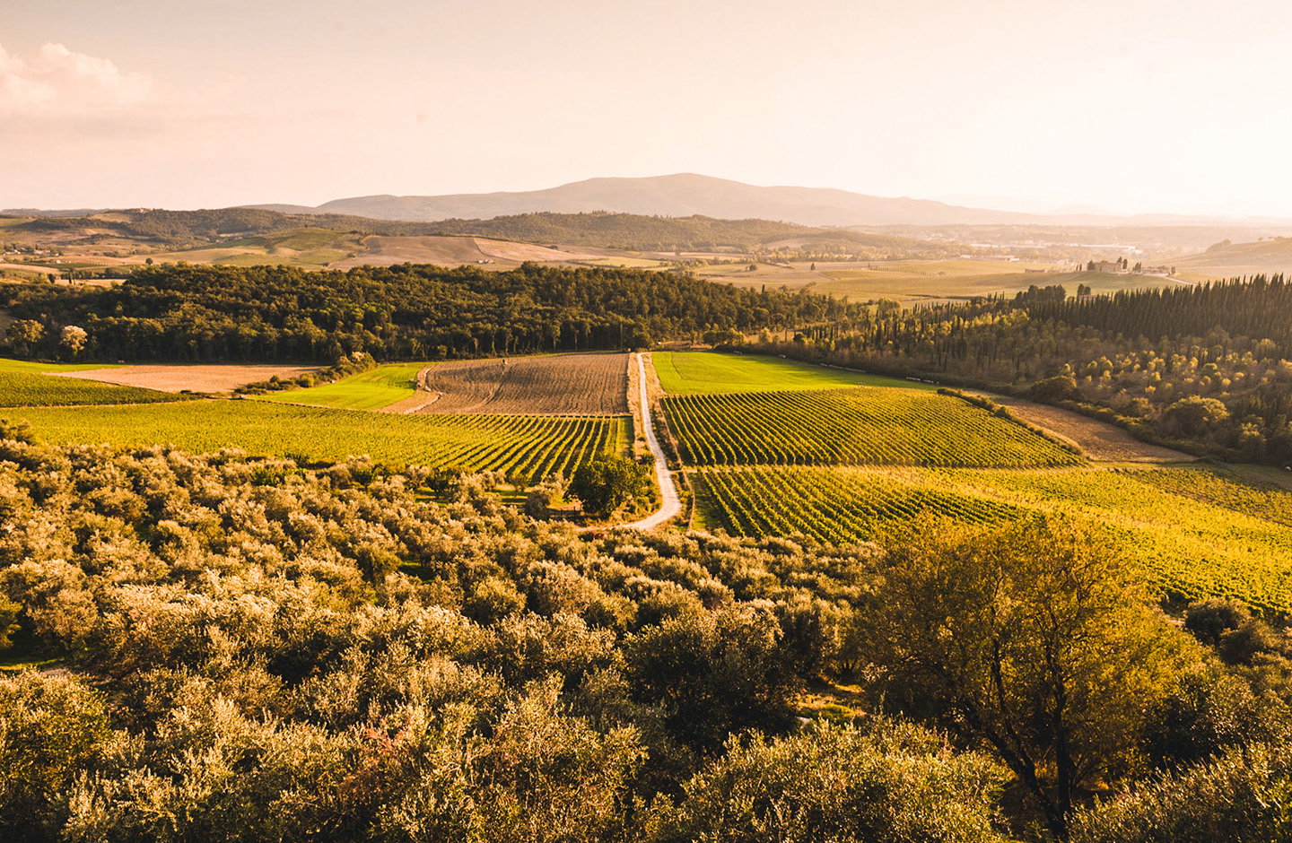 Tenuta di Bibbiano