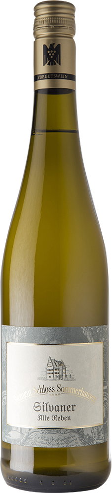 2023 Steinbach Silvaner Alte Reben VDP.ERSTE LAGE BIO