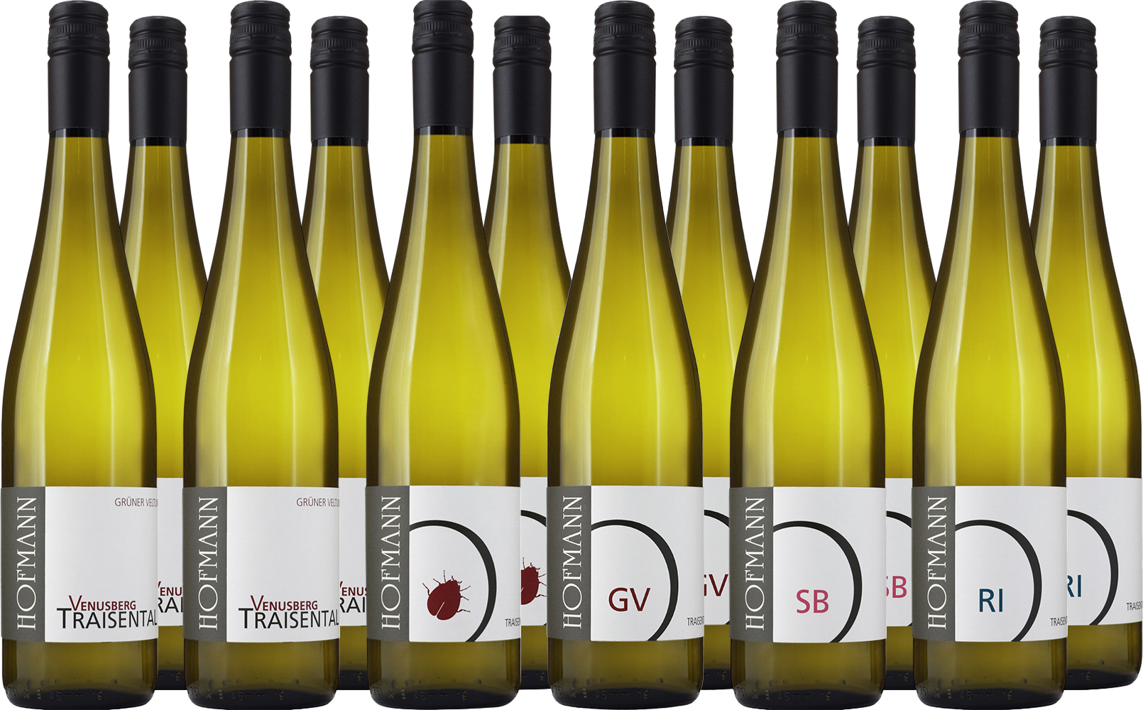 Weißwein-Kennenlern-Paket BIO