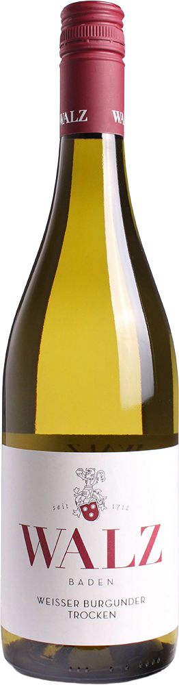 2025 Weisser Burgunder Gutswein BIO