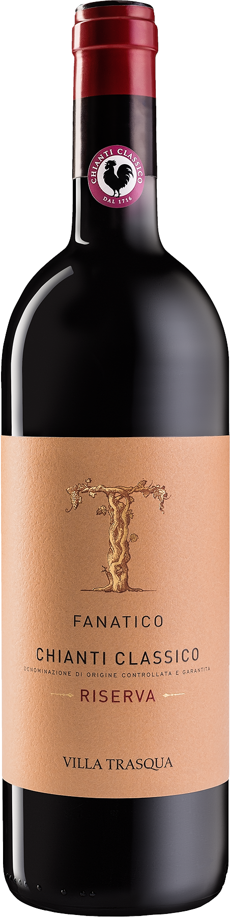 2020 Fanatico Riserva Chianti Classico DOCG BIO