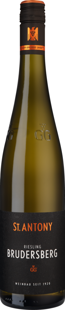 2025 Brudersberg Riesling GG BIO