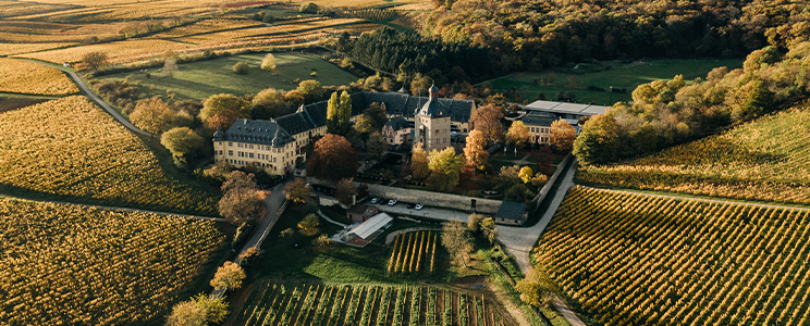 Schloss Vollrads