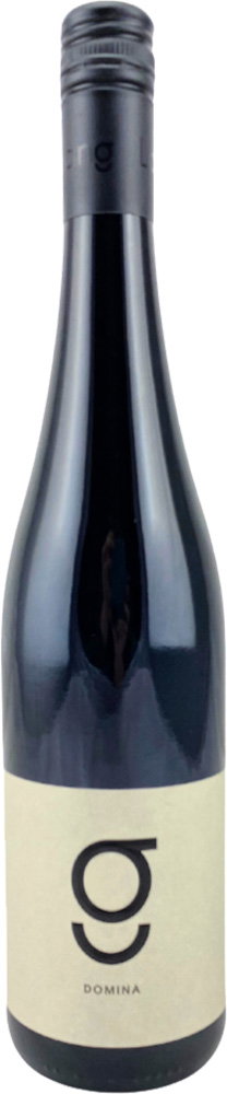 2025 Domina PREMIUM