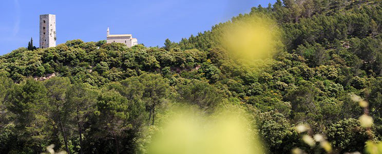 Saint Martin - Cru Classé
