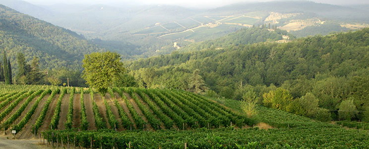 Il Molino di Grace