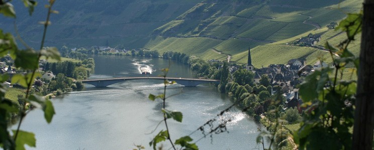 Reuscher-Haart