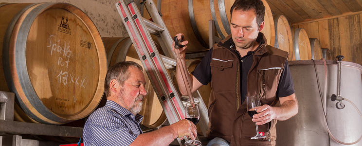 Oekologisches Weingut Schmidt