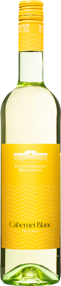2025 Cabernet Blanc