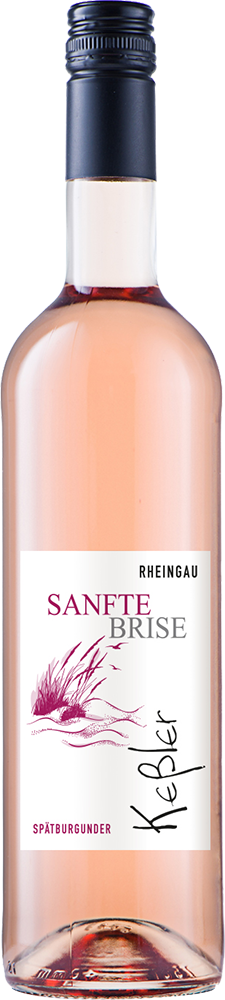 2025 SANFTE BRISE Spätburgunder Rosé Qualitätswein