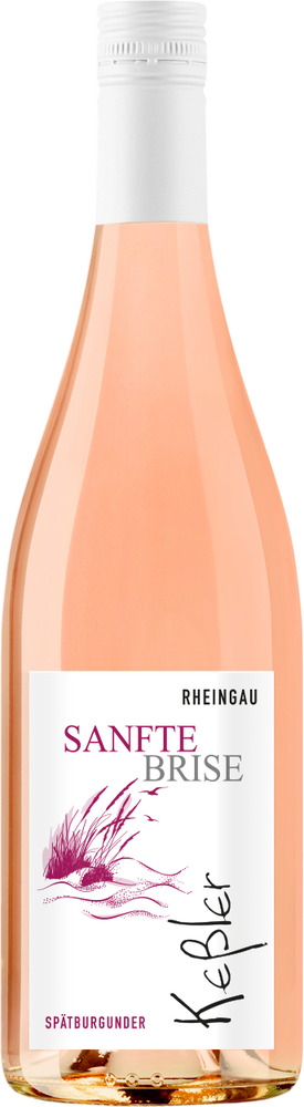 2025 SANFTE BRISE Spätburgunder Rosé Qualitätswein