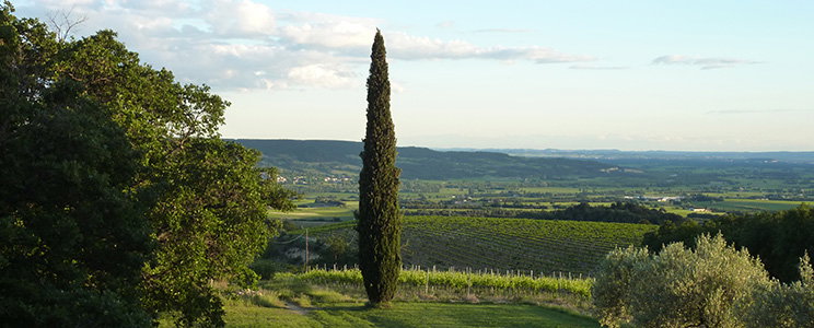 Domaine de Coste Chaude
