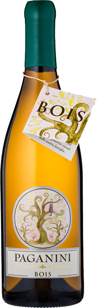 2021 Bois Vino Colli Piacentini DOC BIO