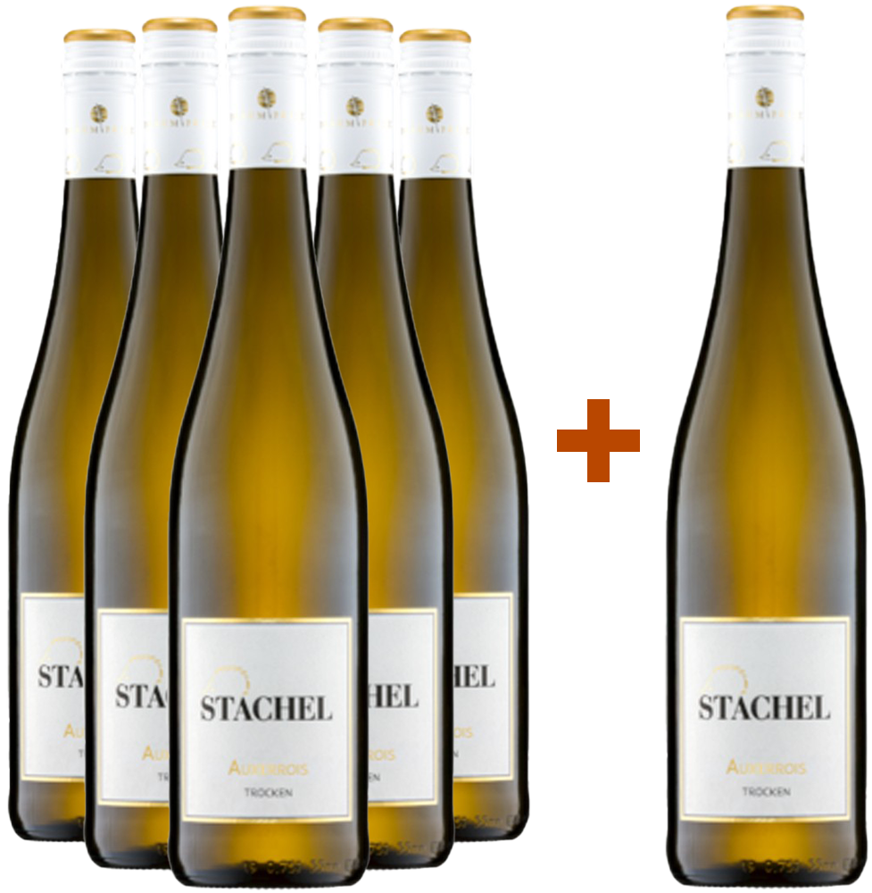 5+1 Paket Auxerrois trocken