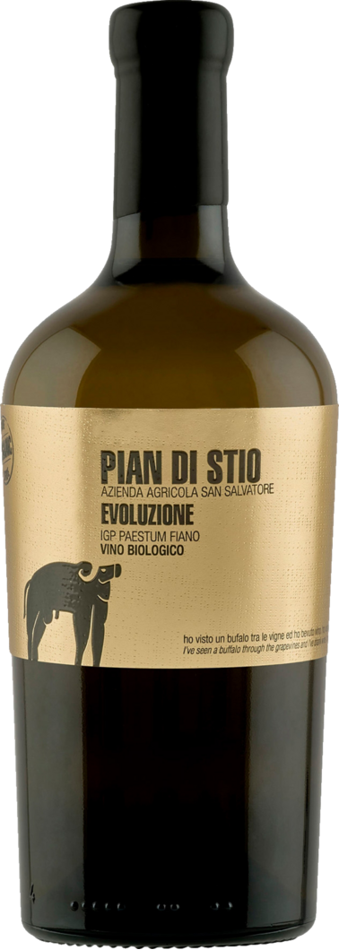 2020 San Salvatore Piani di Stio Evoluzione Fiano BIO