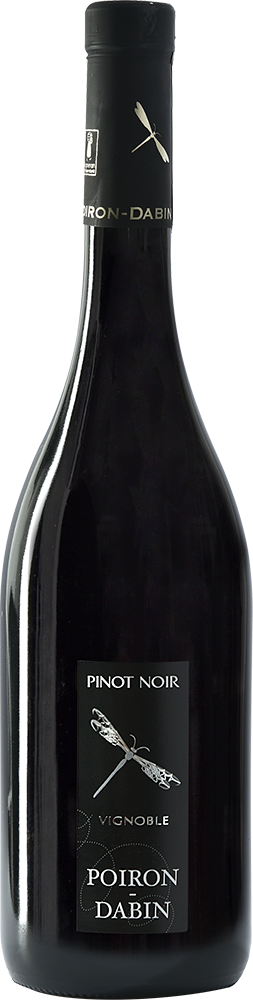 2023 Cuvée "Pinot Noir" Val de Loire IGP