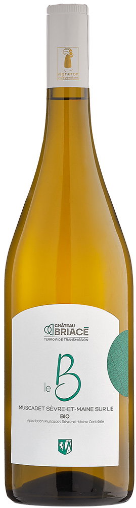 2024 Le B Muscadet Sèvre et Maine AOP