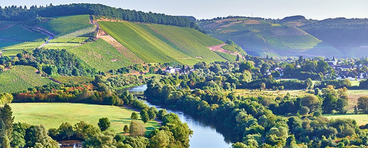 Weingut von Othegraven