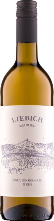 2022 Souvignier Gris BIO