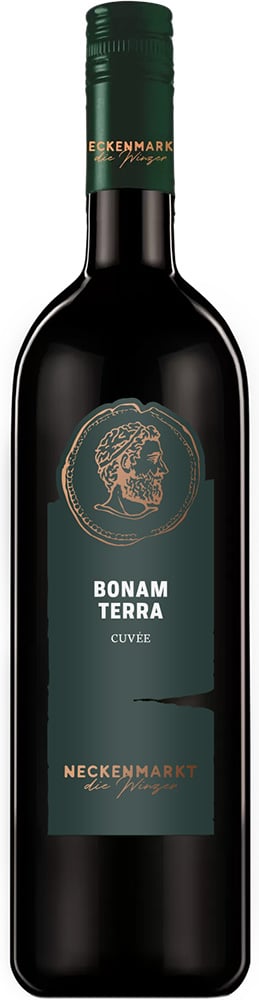 2020 Bonam Terra reflection