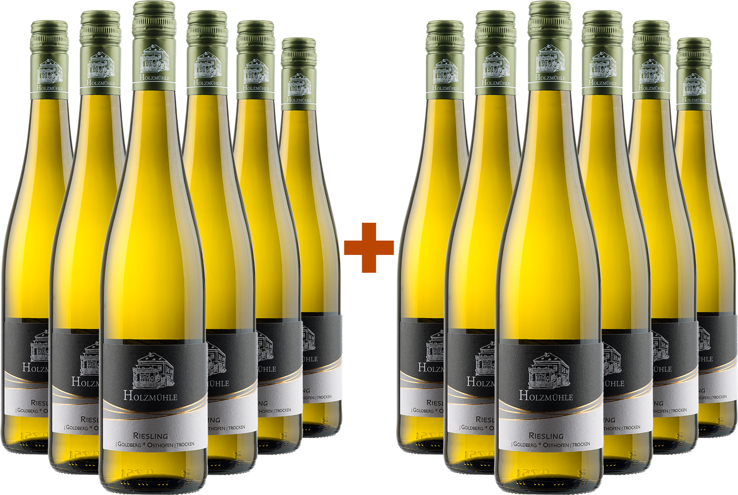 6+6 Paket Goldberg Riesling
