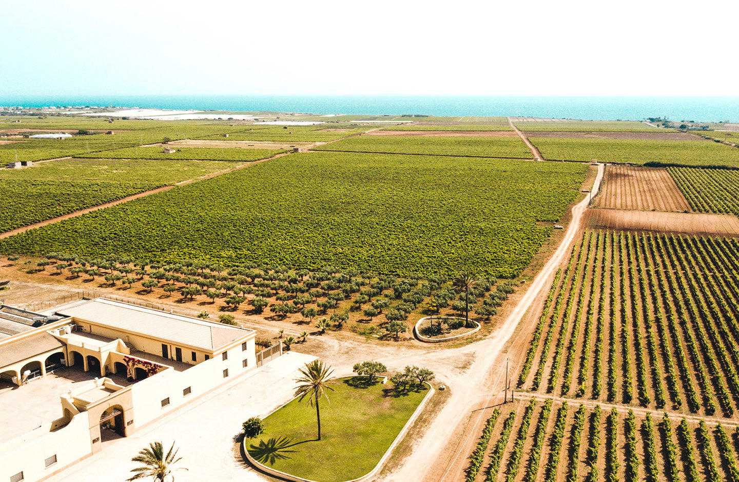 Tenuta Gorghi Tondi