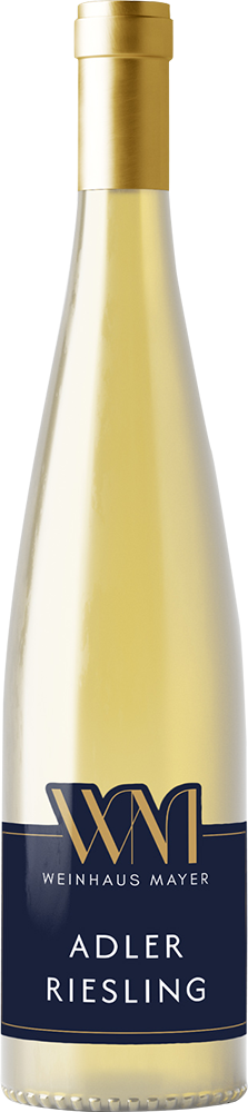 2024 ADLER RIESLING