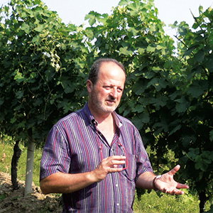 Tenuta Roveglia