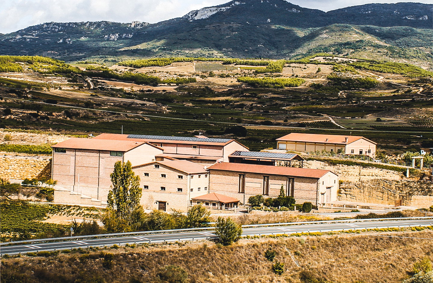 CM de Matarromera