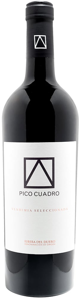 2020 Vendimia Seleccionada Ribera del Duero DO reflection