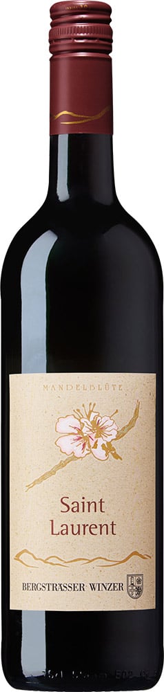 2024 Saint Laurent Rotwein