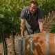 Weingut Thomas-Rüb